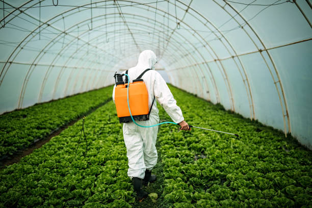 Best Pest Inspection Near Me  in North Syracuse, NY
