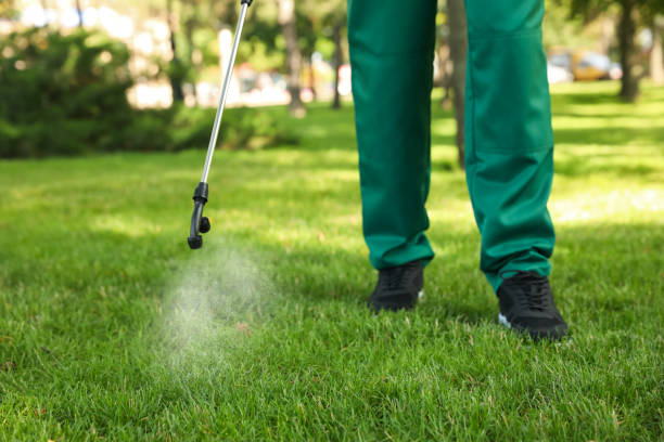 Professional Pest Control in North Syracuse, NY