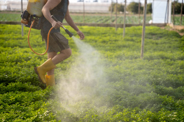 Best Best Pest Control Companies  in North Syracuse, NY