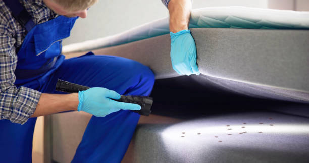 Best Residential Pest Control  in North Syracuse, NY