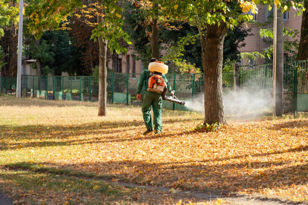 Best Wasp Removal Services  in North Syracuse, NY