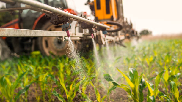 Best Pest Removal Services  in North Syracuse, NY