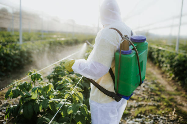 Best Mosquito Control Services  in North Syracuse, NY